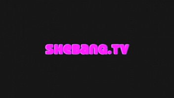 shebangtv - live dominance flash